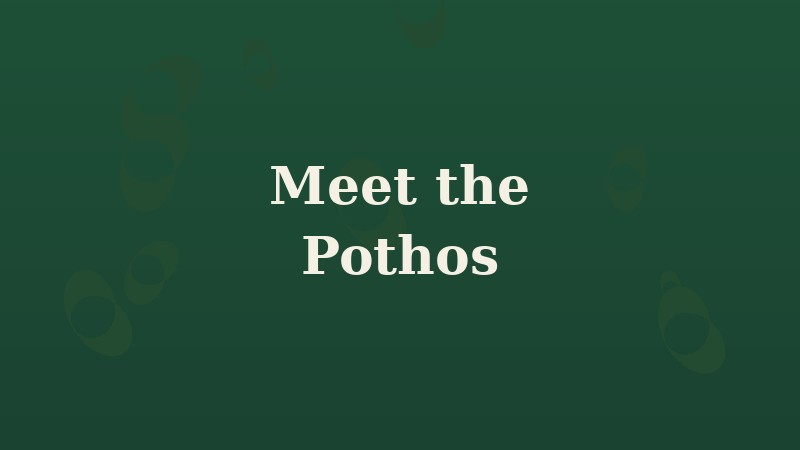 Meet the Pothos: The Plant That Forgives Everything