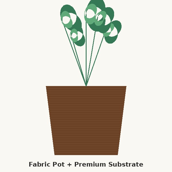 Fabric pot with premium substrate illustration